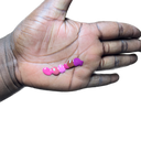 IMG_4667 avec arrière-plan supprimé.webp