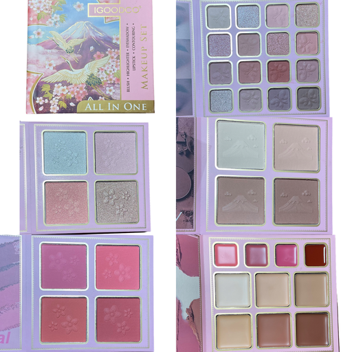 Palette tout en 1 Igoodco 